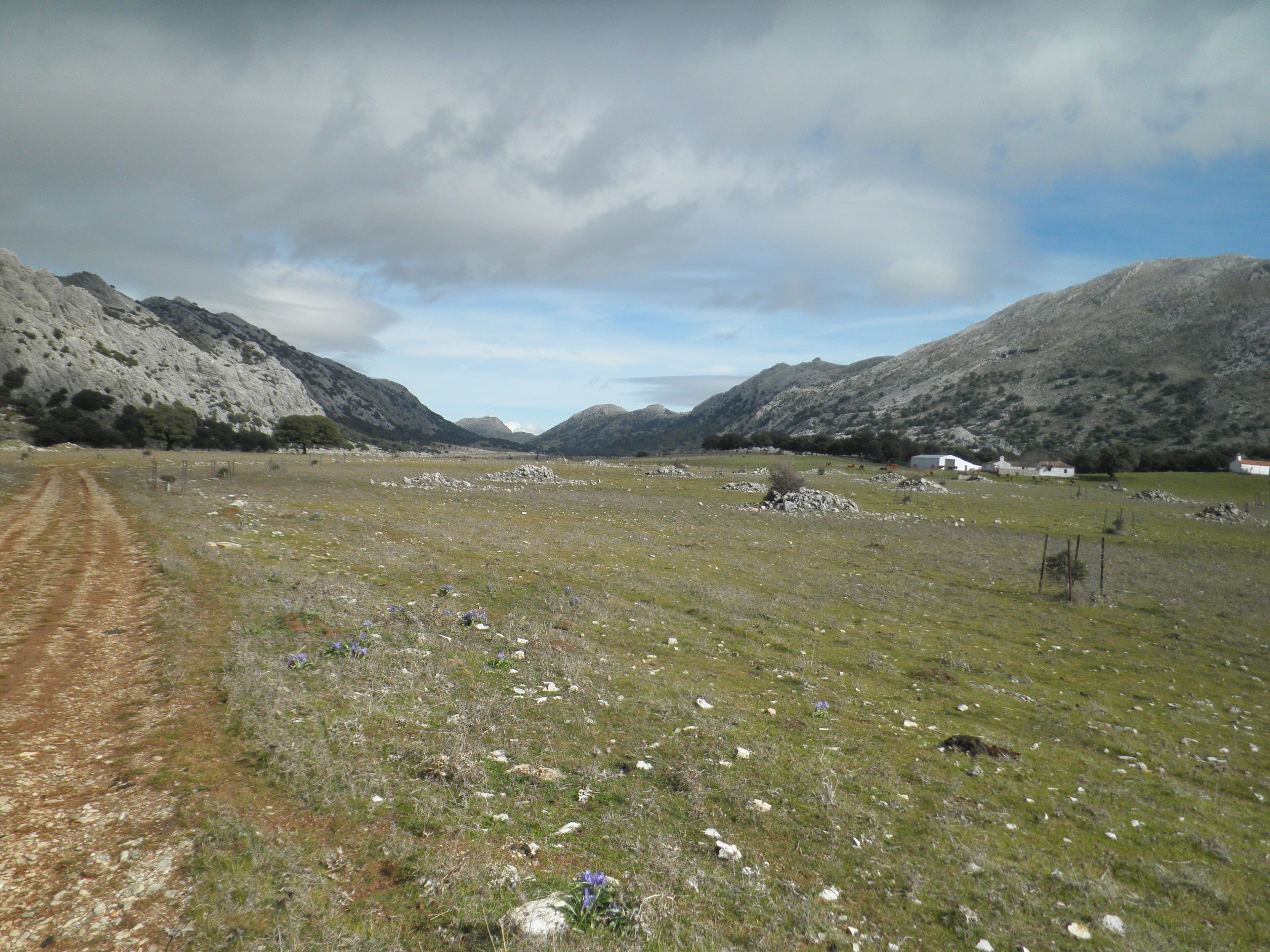 Llanos de Líbar