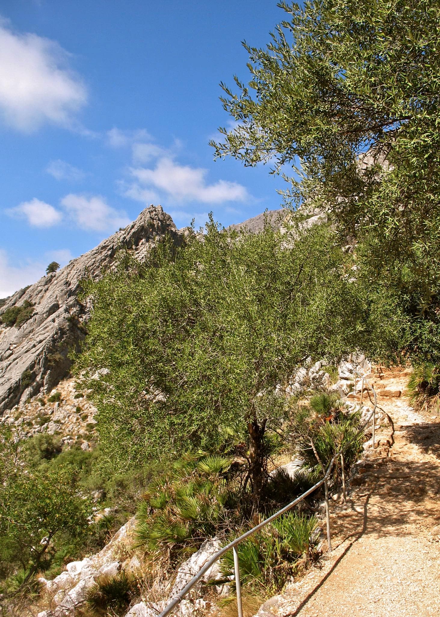 Interior de la Cueva de la Pileta — luz cálida sobre formaciones milenarias