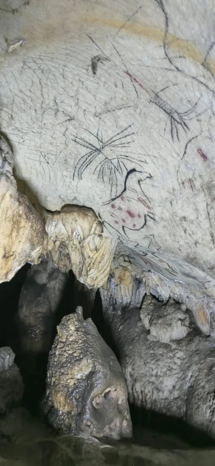 Pintura rupestre — ave esquemática