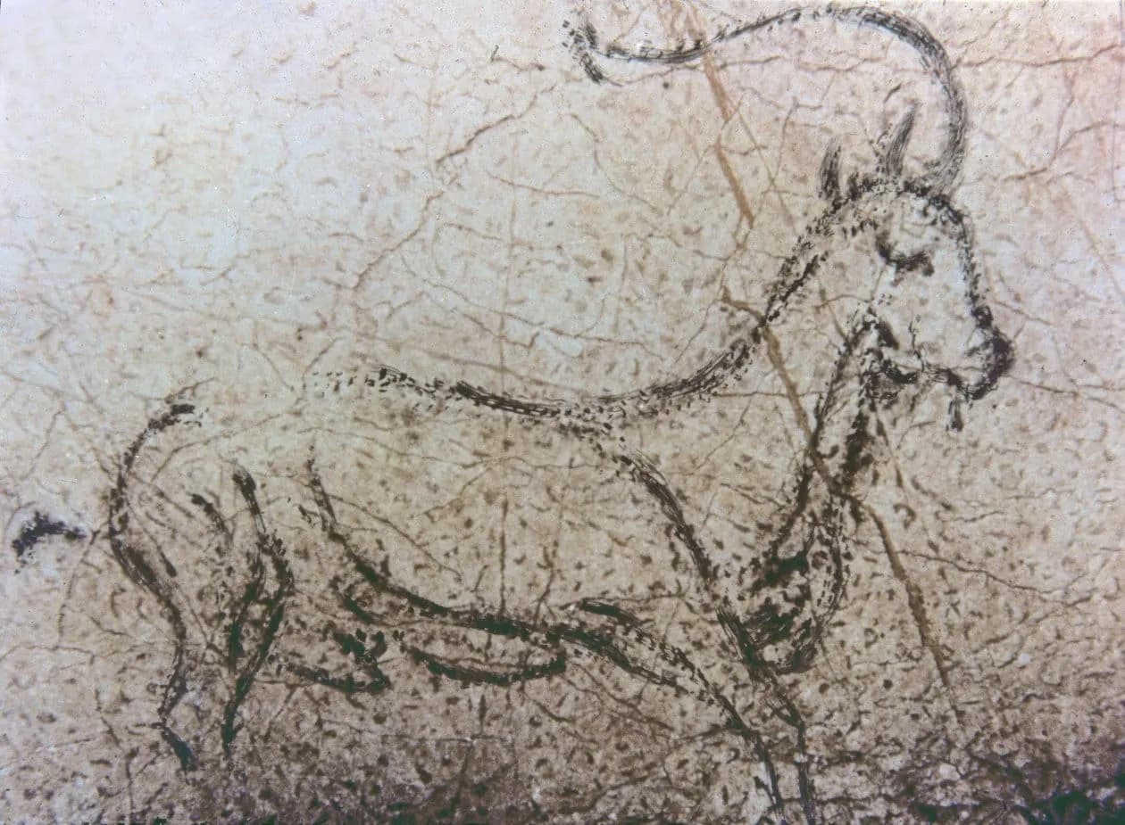 Pintura rupestre — grabado animal