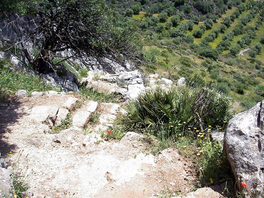 Escalones de acceso